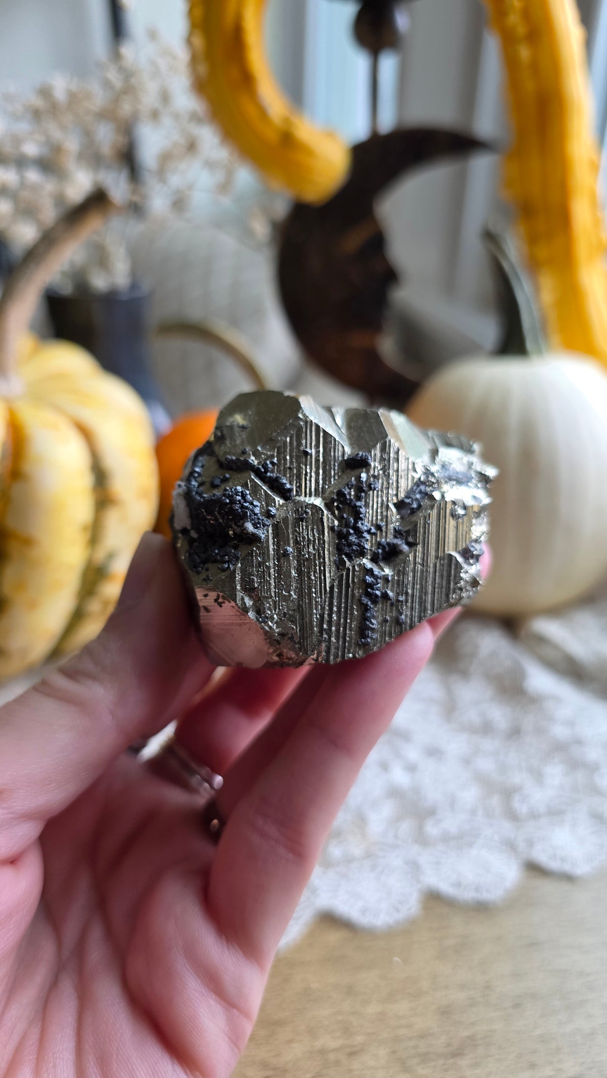 Pyrite Specimen 6