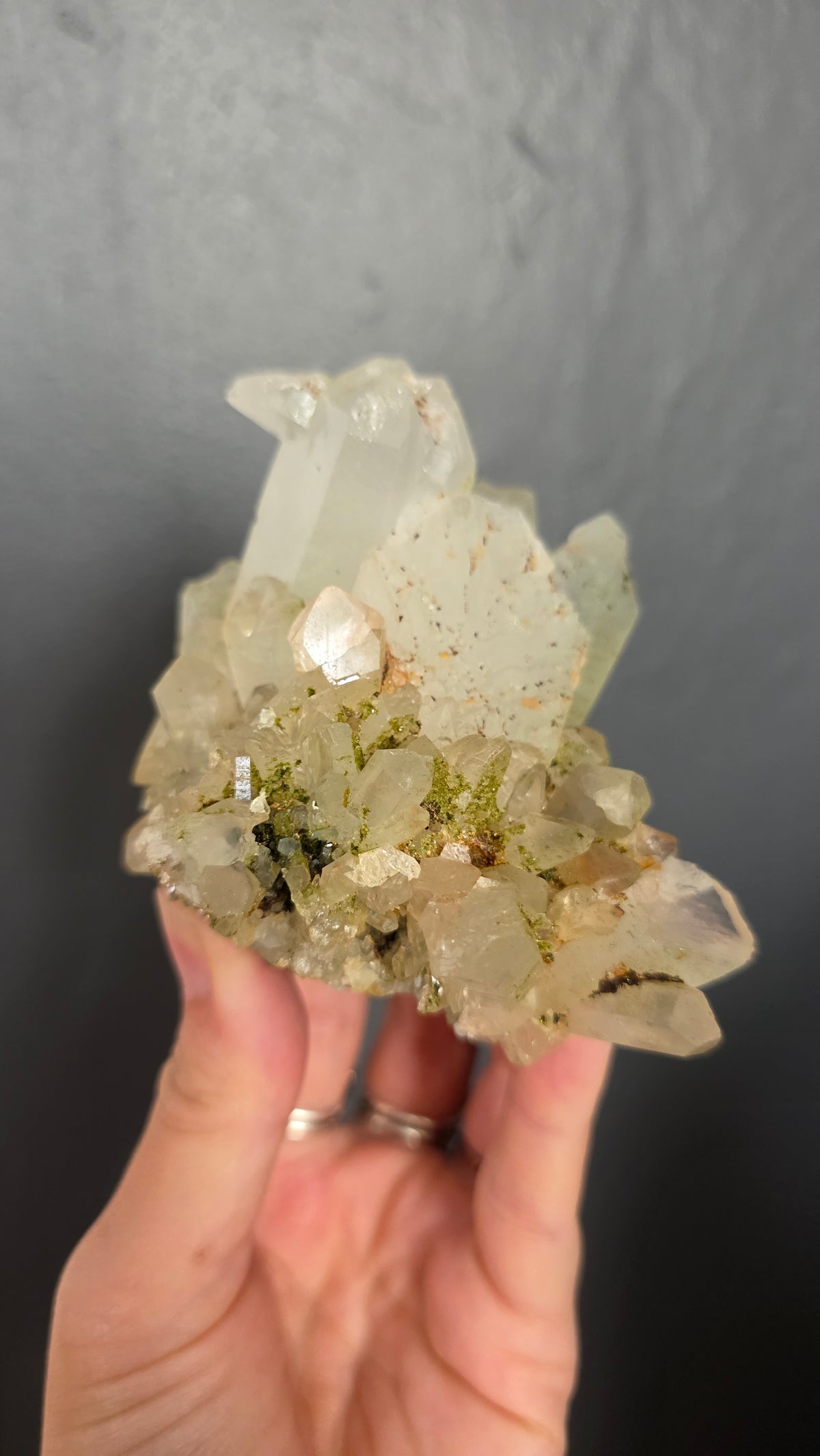 Epidote in Quartz