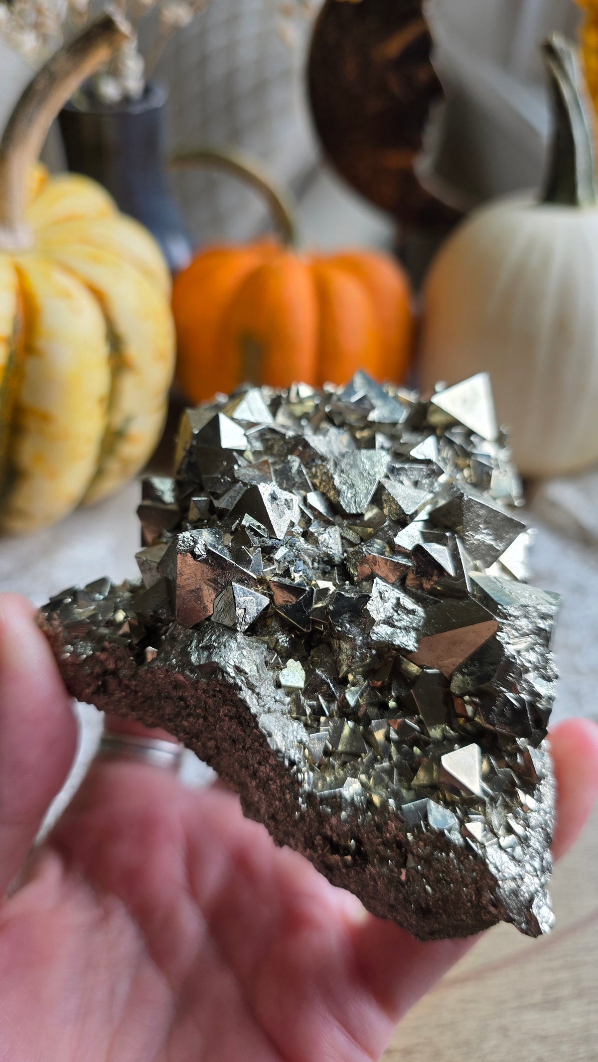 Pyrite Specimen 1