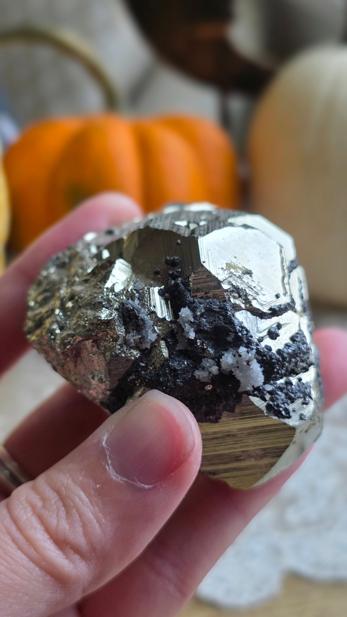 Pyrite Specimen 6