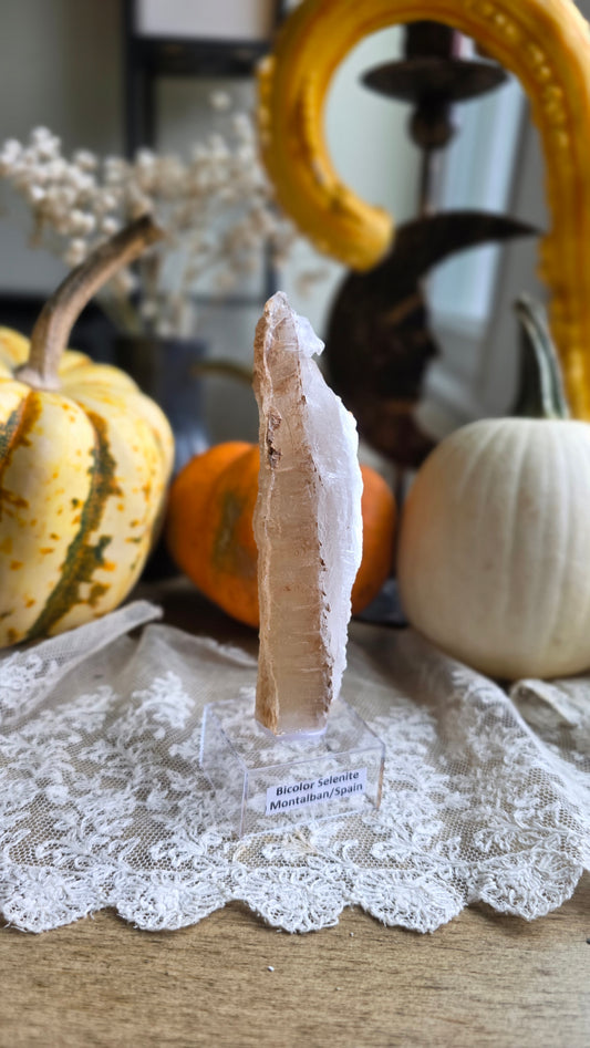 Bicolor Selenite on Stand