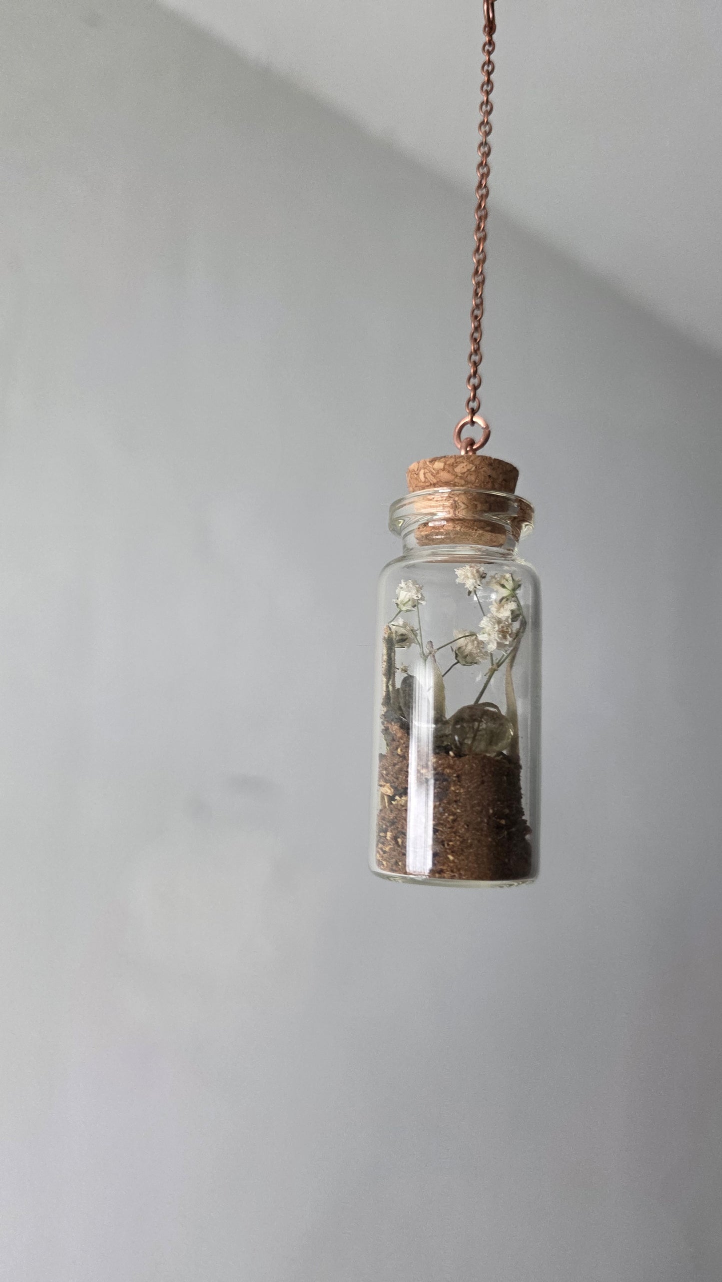 The Wanderer Antler Shed Hanging Decor