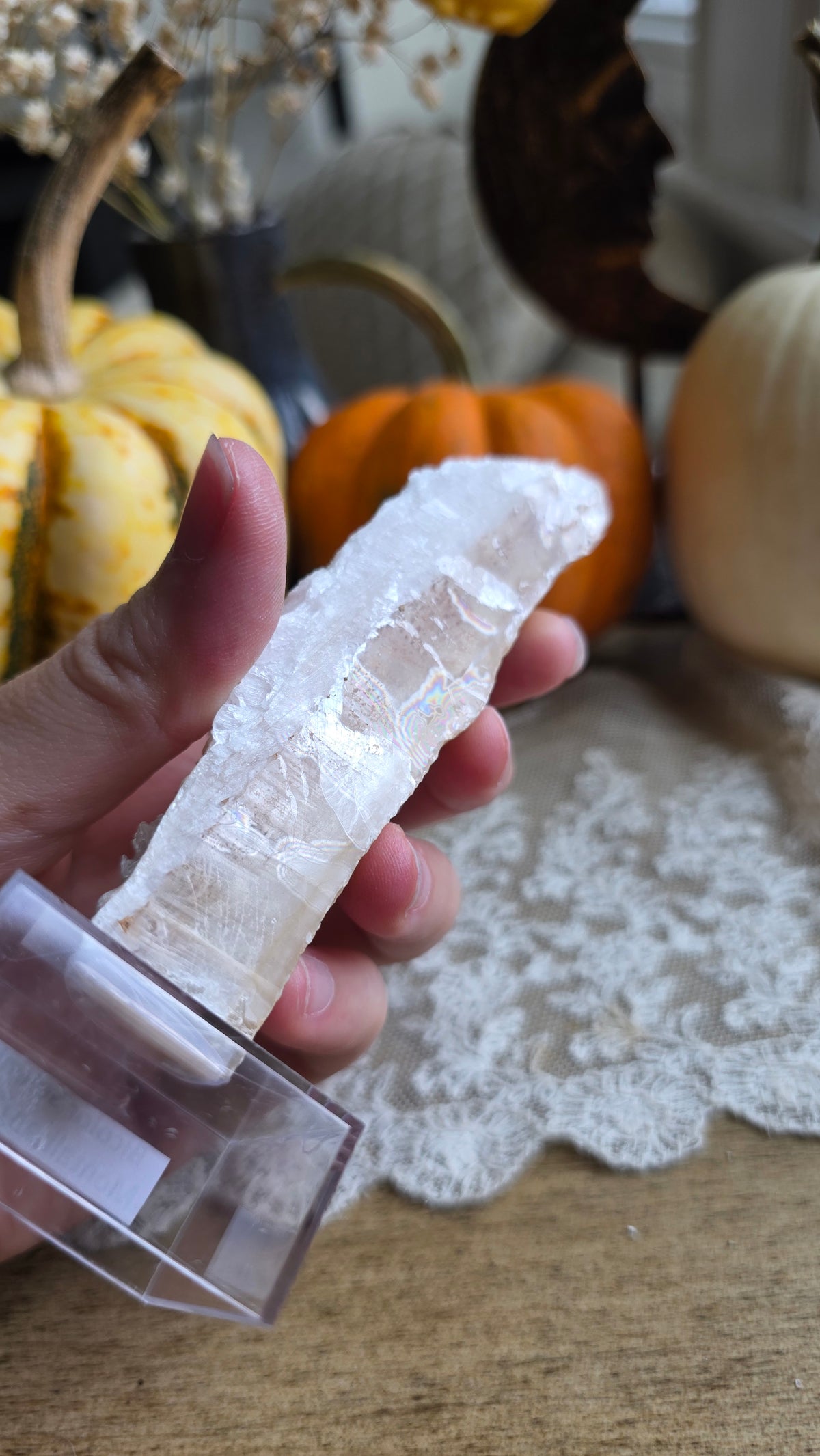 Bicolor Selenite on Stand