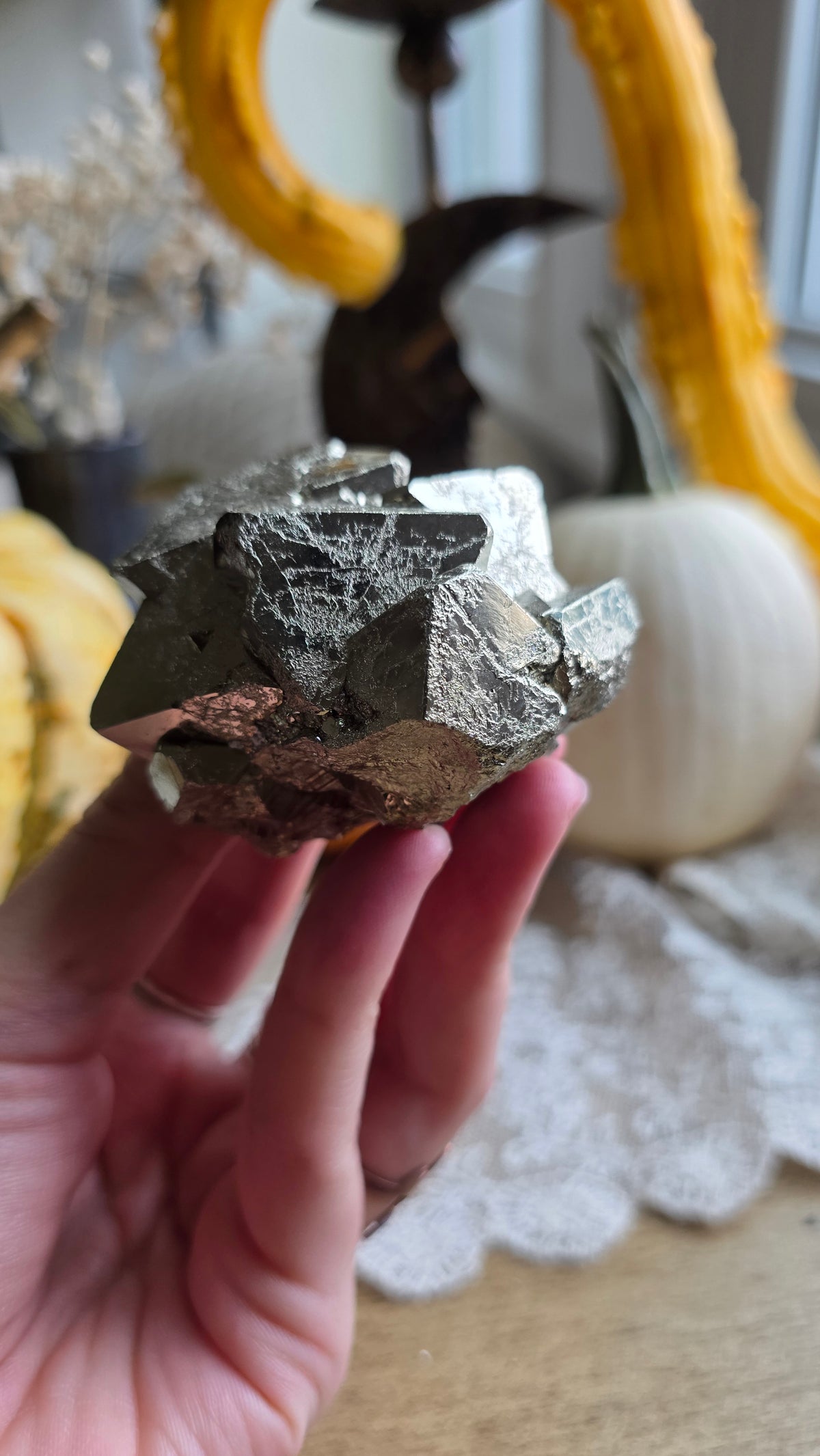 Pyrite Specimen 7
