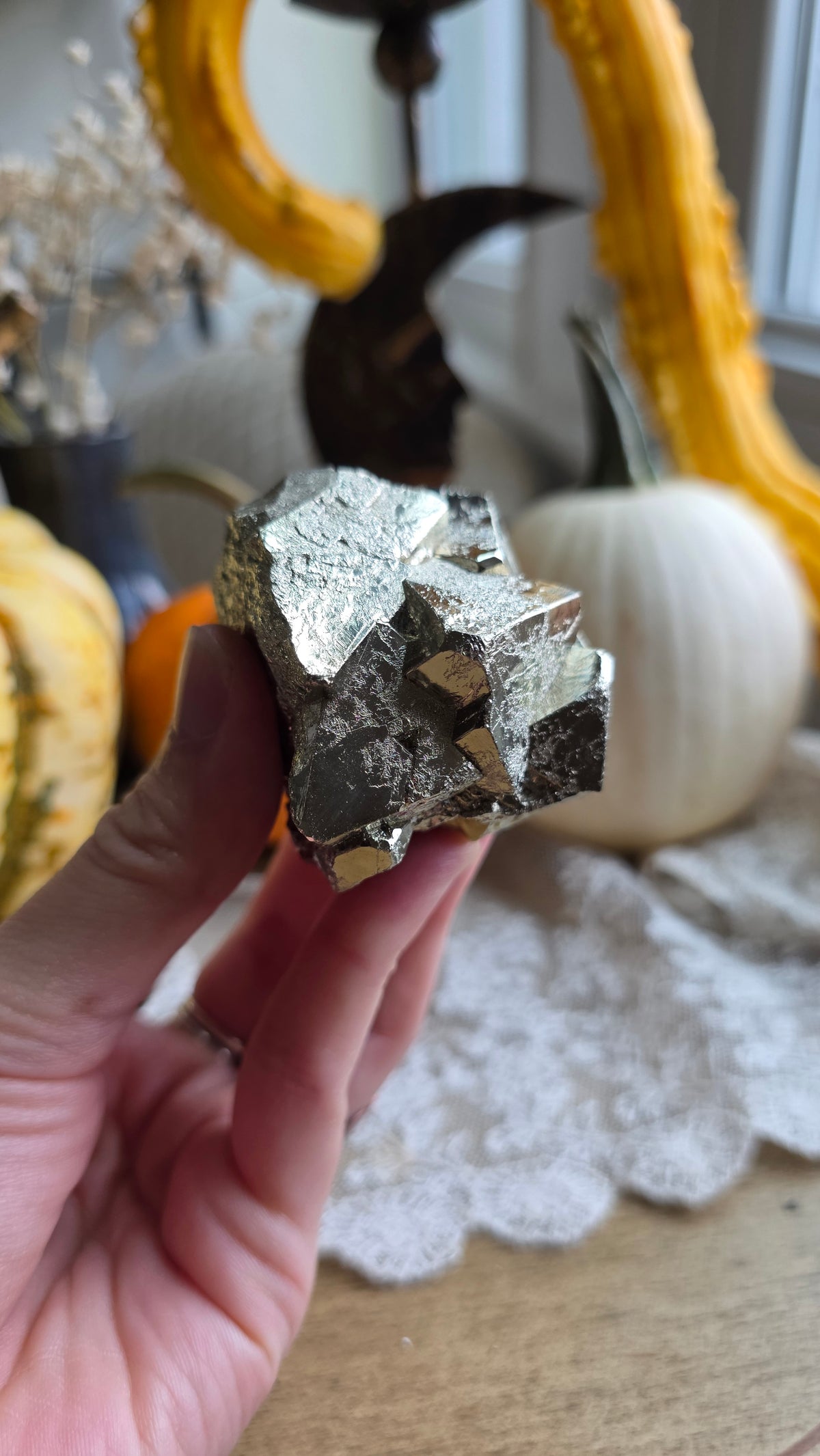 Pyrite Specimen 7