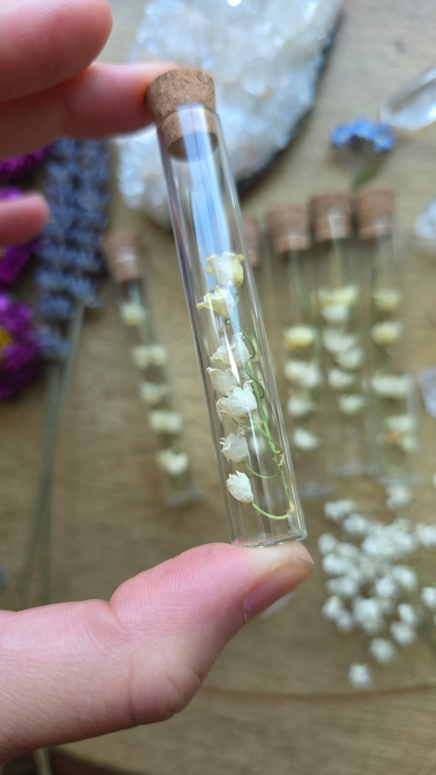 Dried Lily of the Valley Vial Specimen