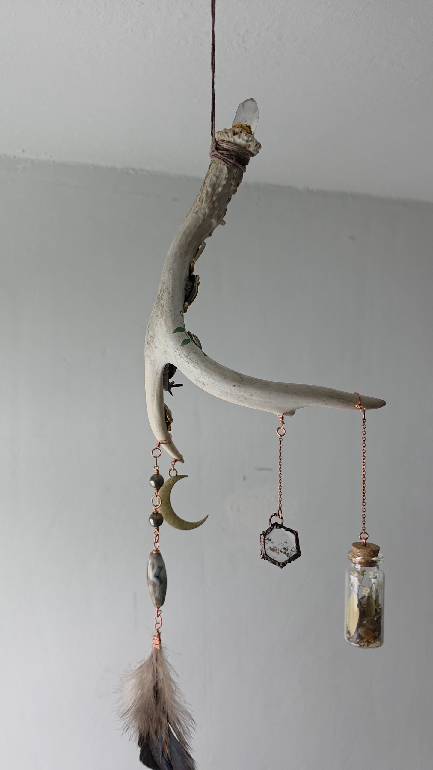 The Wanderer Antler Shed Hanging Decor