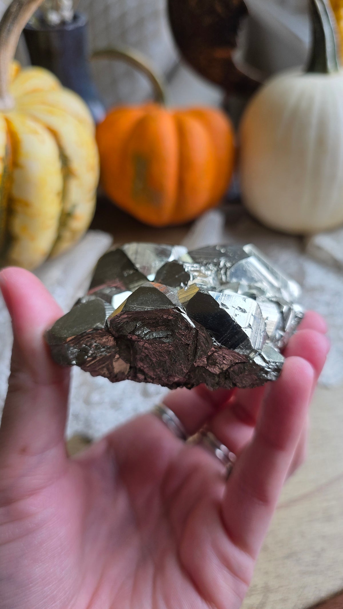 Pyrite Specimen 5: