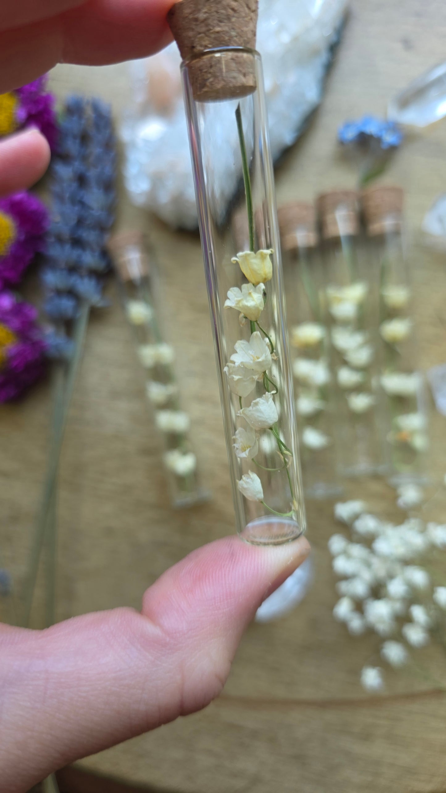 Dried Lily of the Valley Vial Specimen