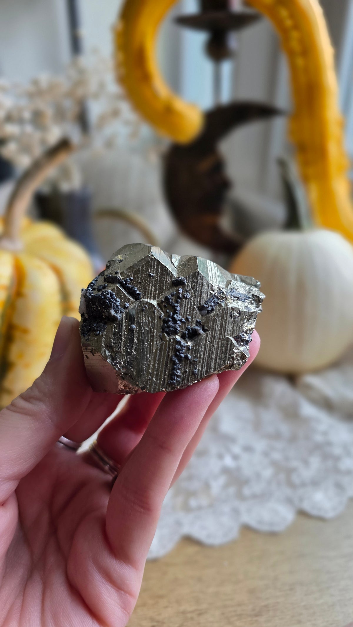 Pyrite Specimen 6