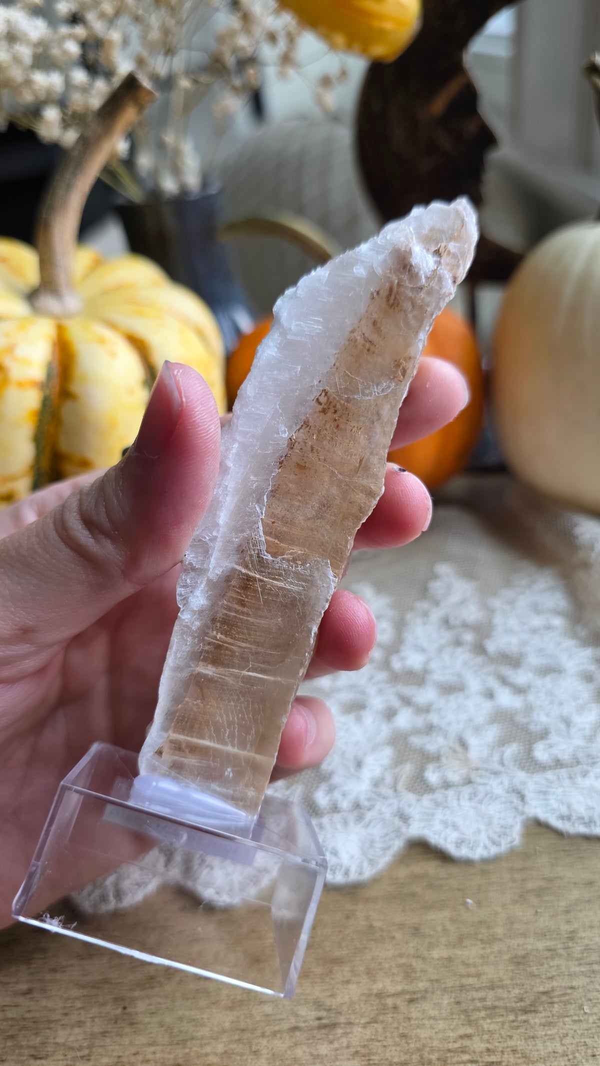 Bicolor Selenite on Stand