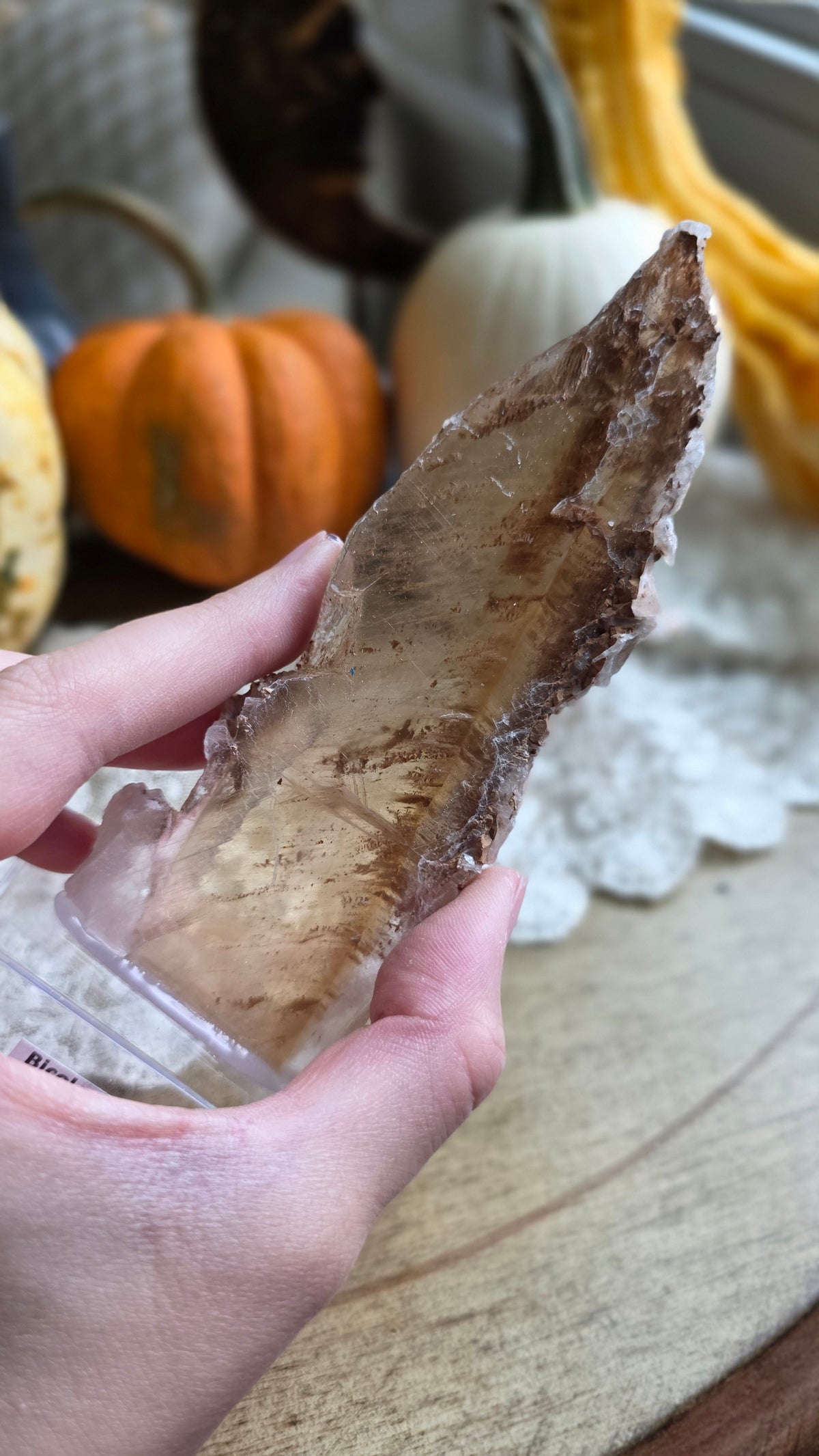 Bicolor Selenite on stand