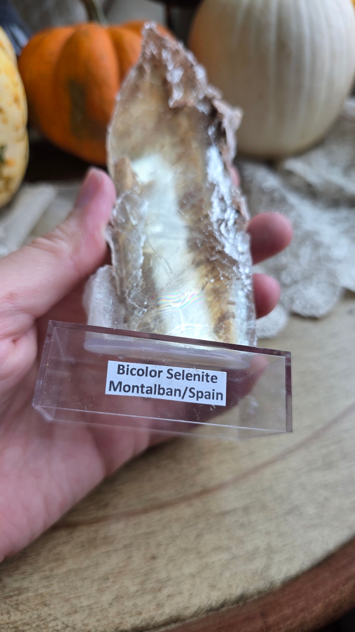 Bicolor Selenite on stand