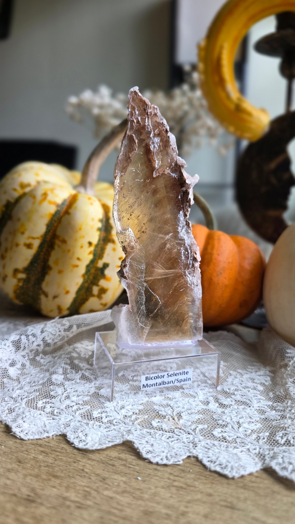 Bicolor Selenite on stand