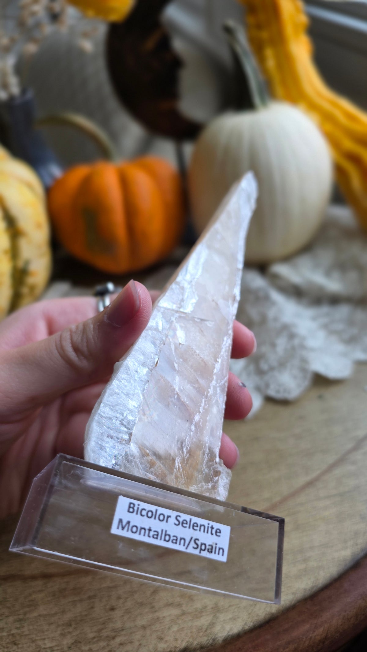 Bicolor Selenite on Stand