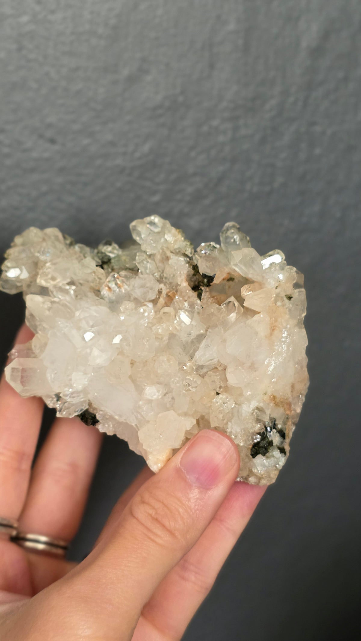Epidote in Quartz