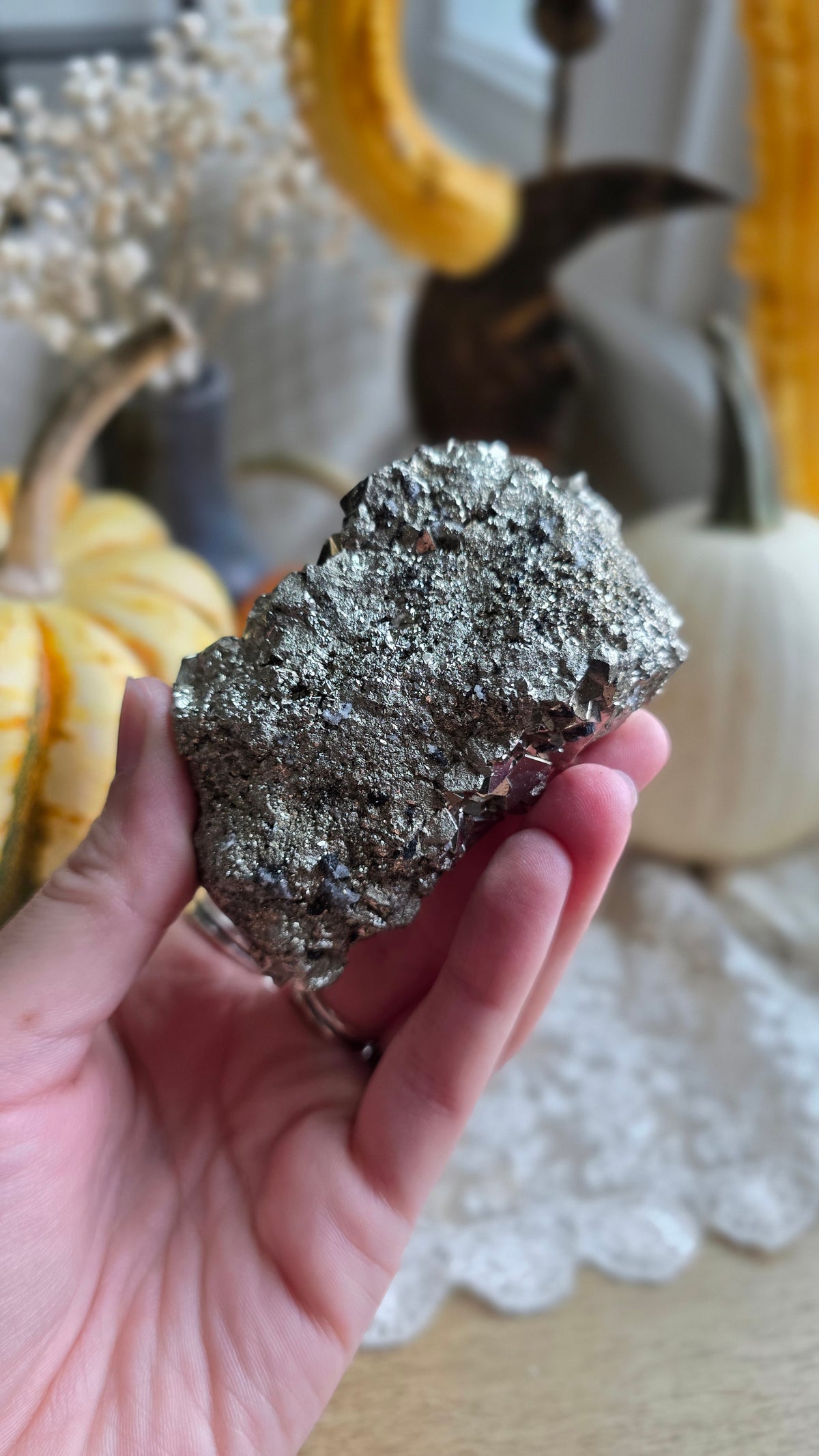 Pyrite Specimen 10