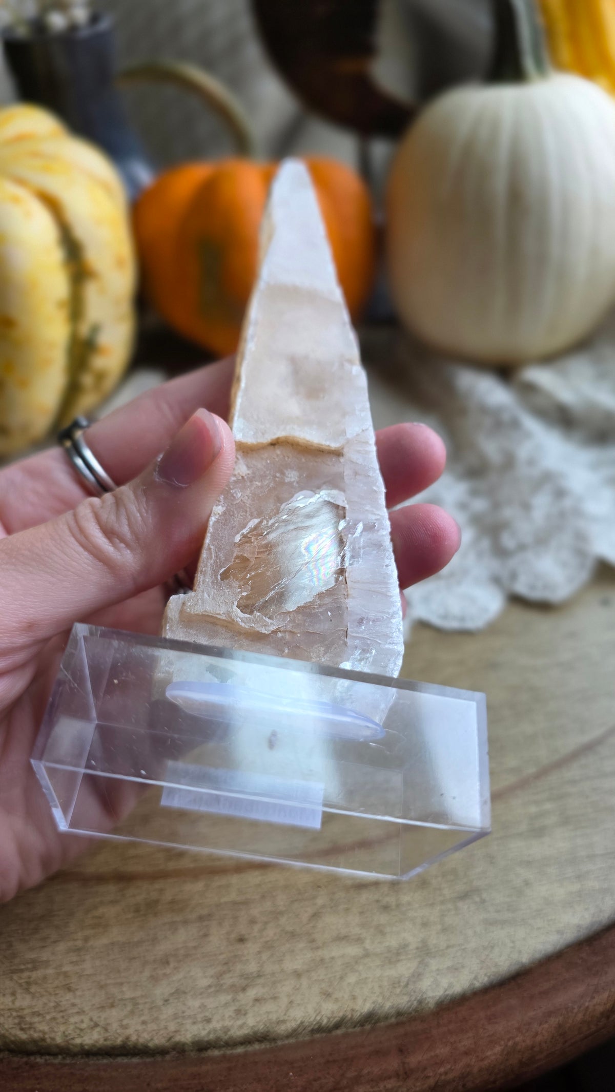 Bicolor Selenite on Stand