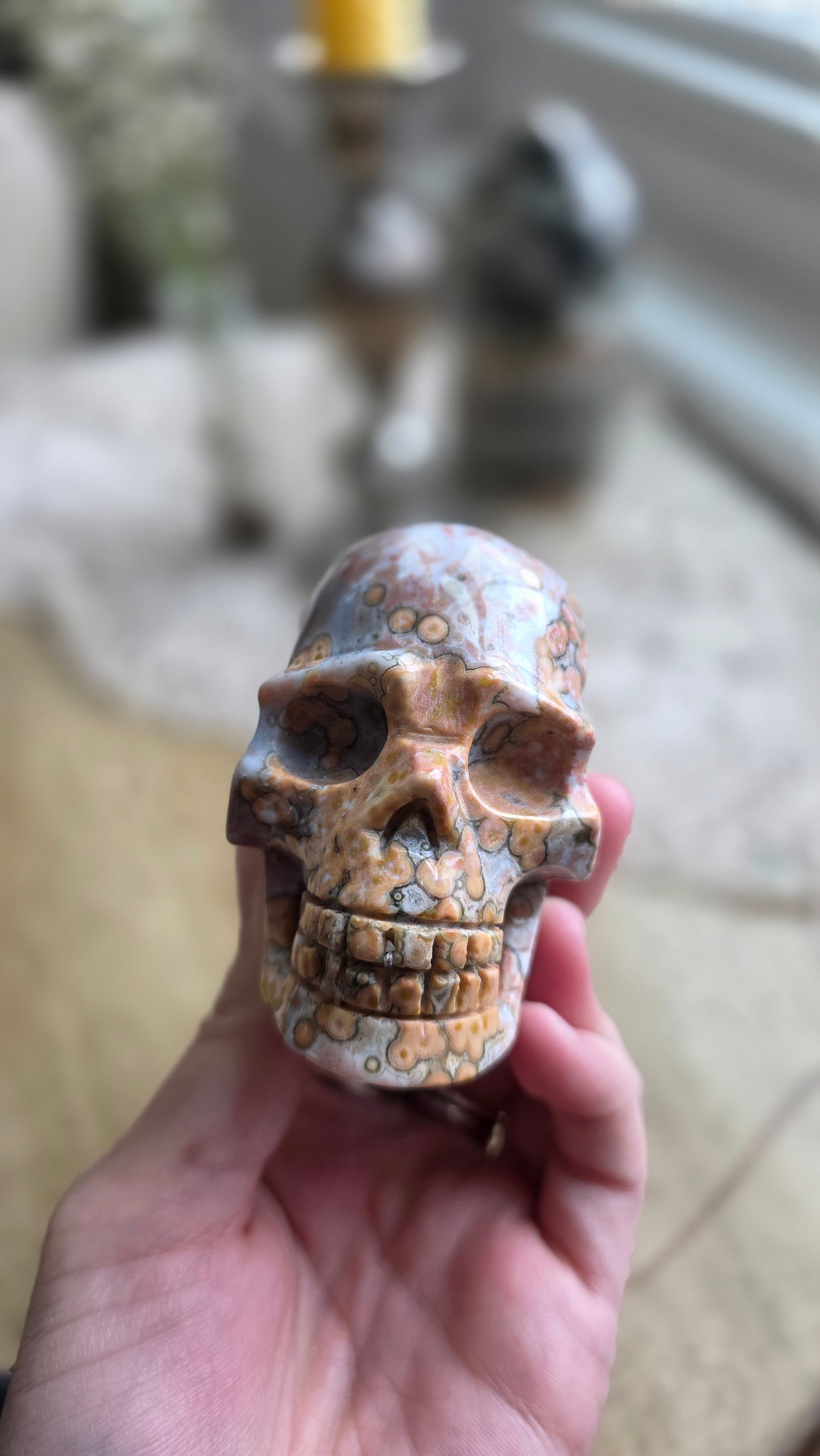 Ocean Jasper Skull 7