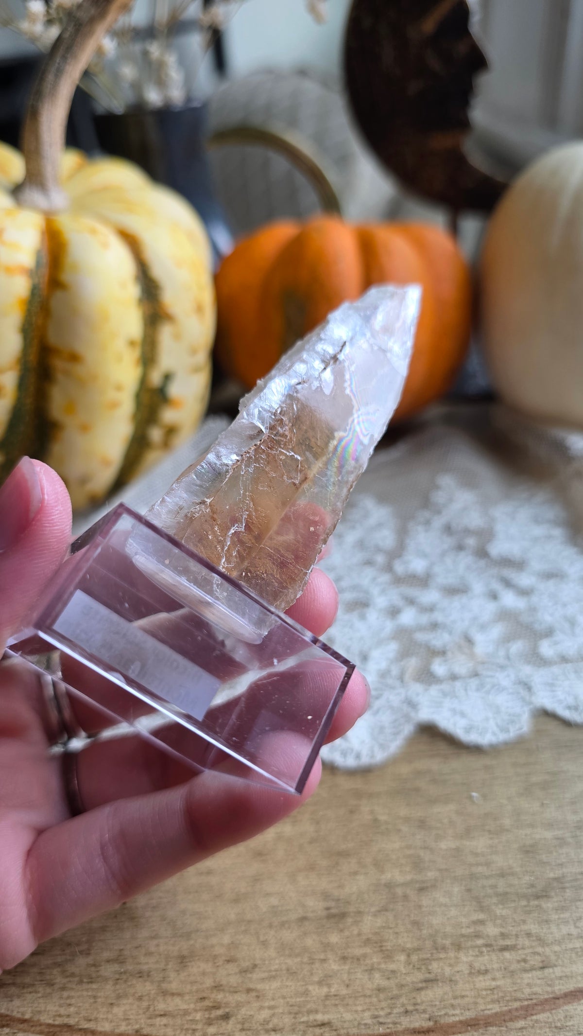 Bicolor Selenite on stand