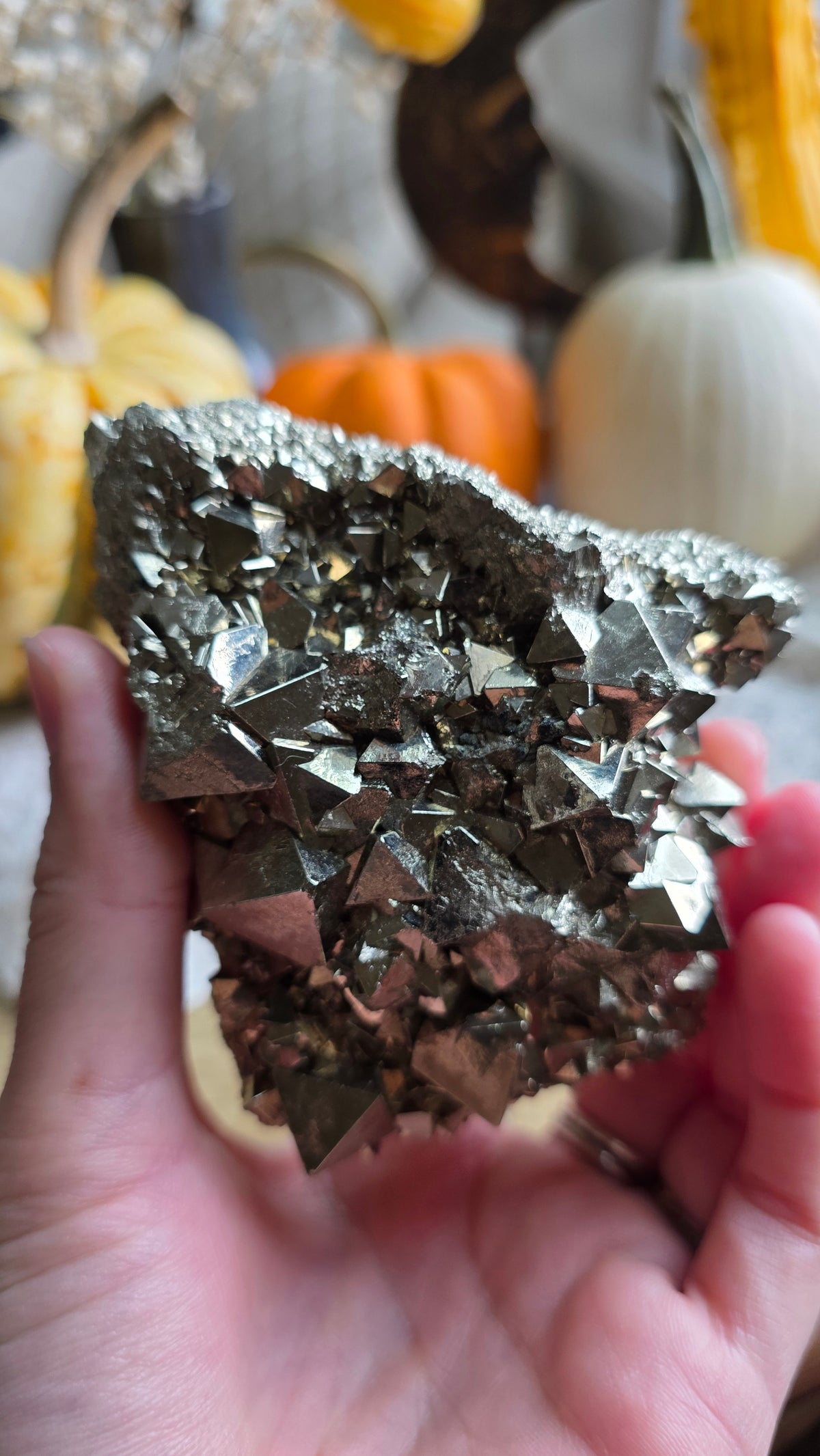 Pyrite Specimen 1