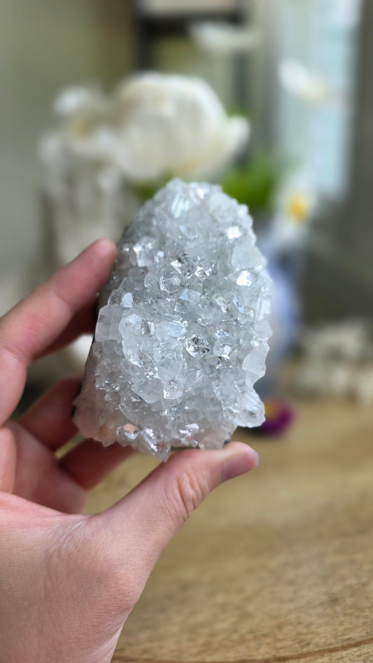 Apophyllite no. 5