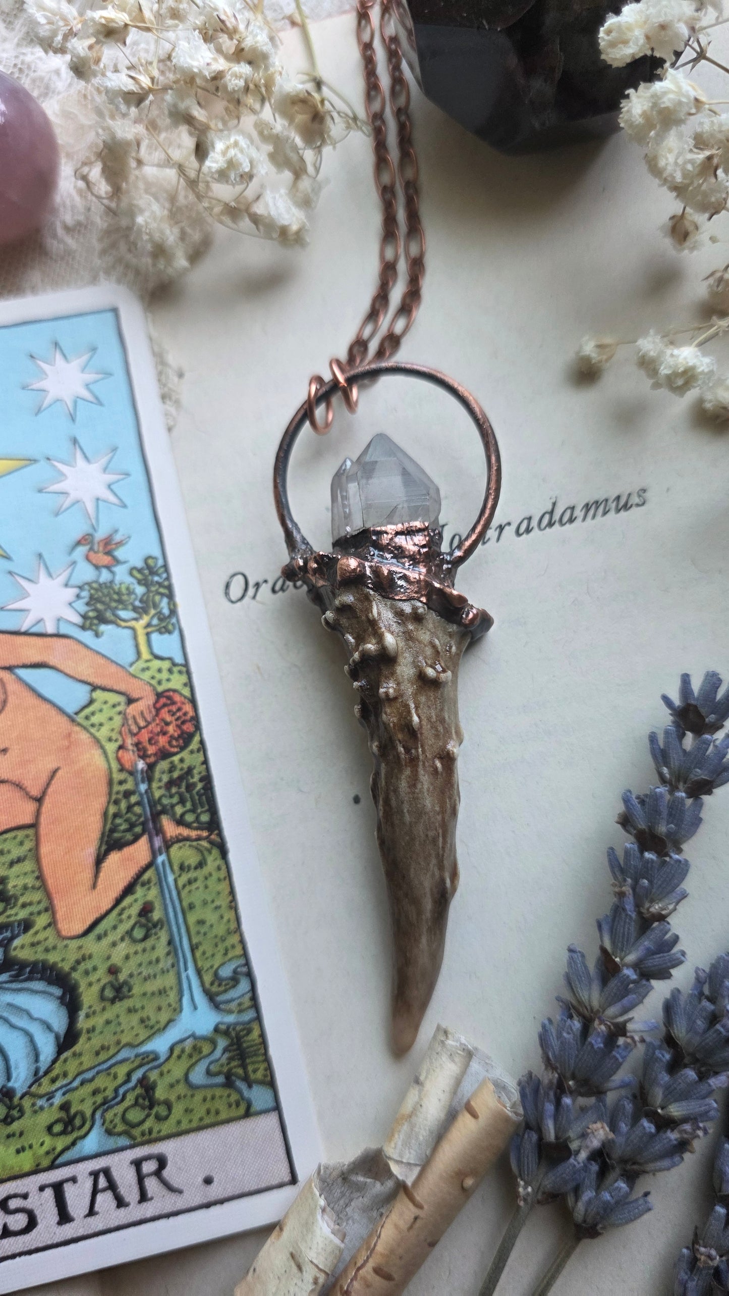 Fable: Antler Shed with Quartz