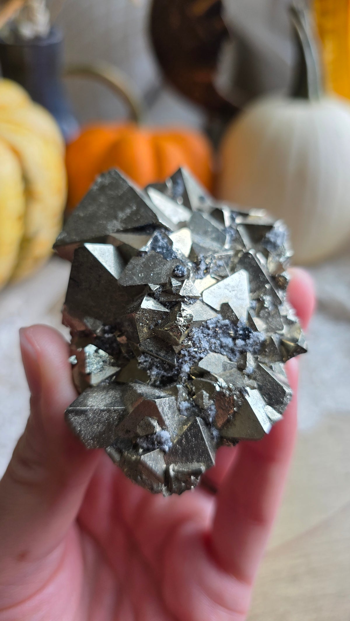 Pyrite Specimen 2