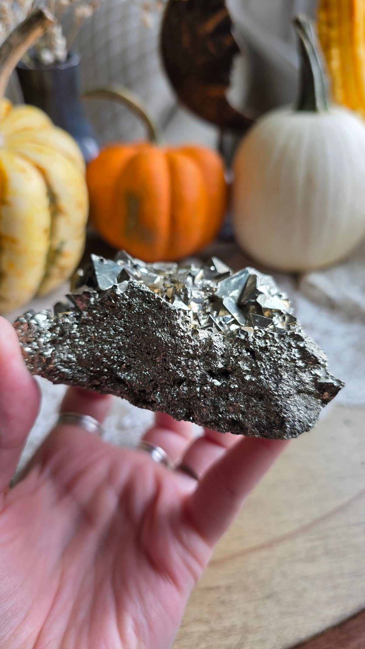 Pyrite Specimen 1