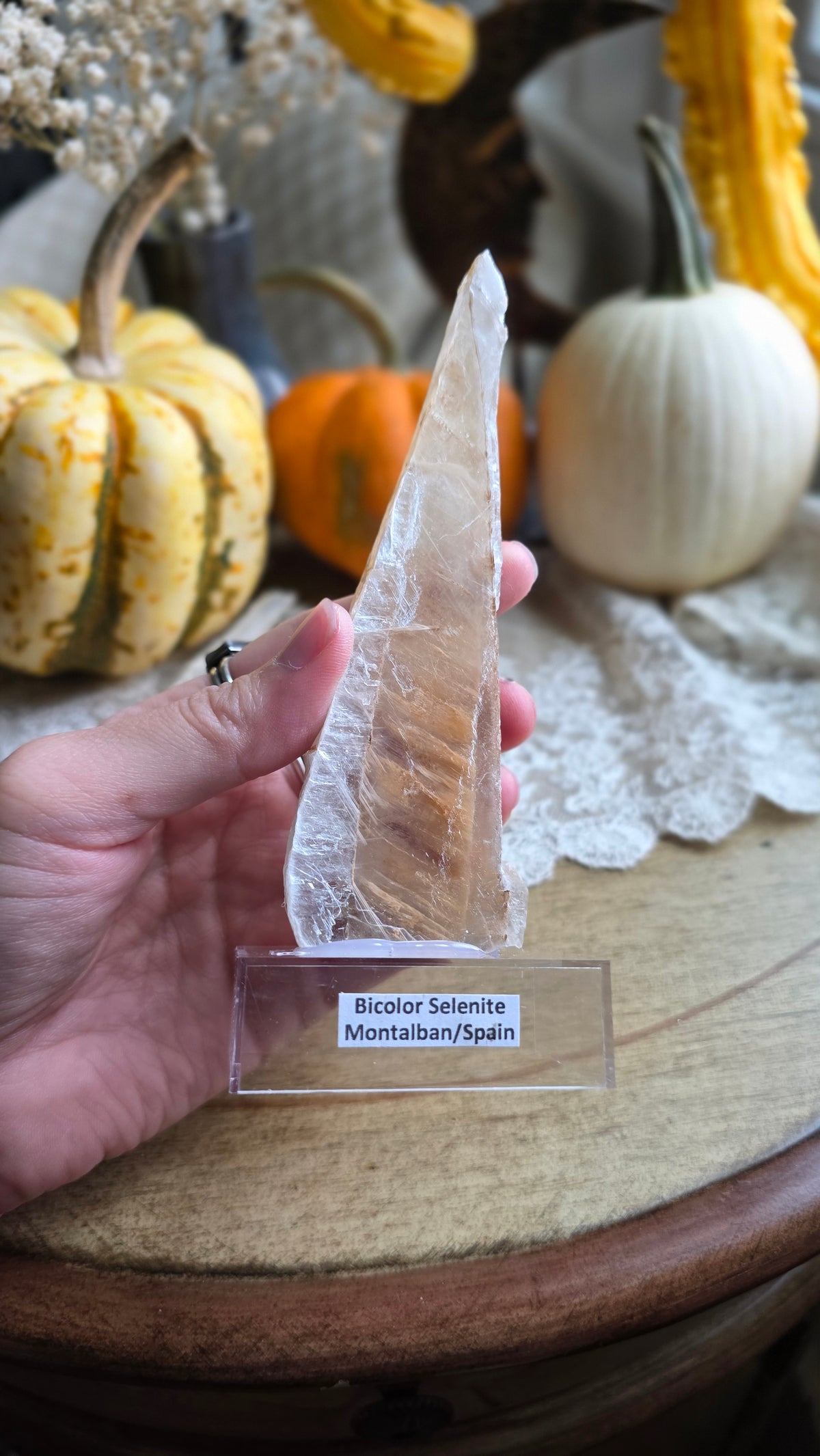 Bicolor Selenite on Stand