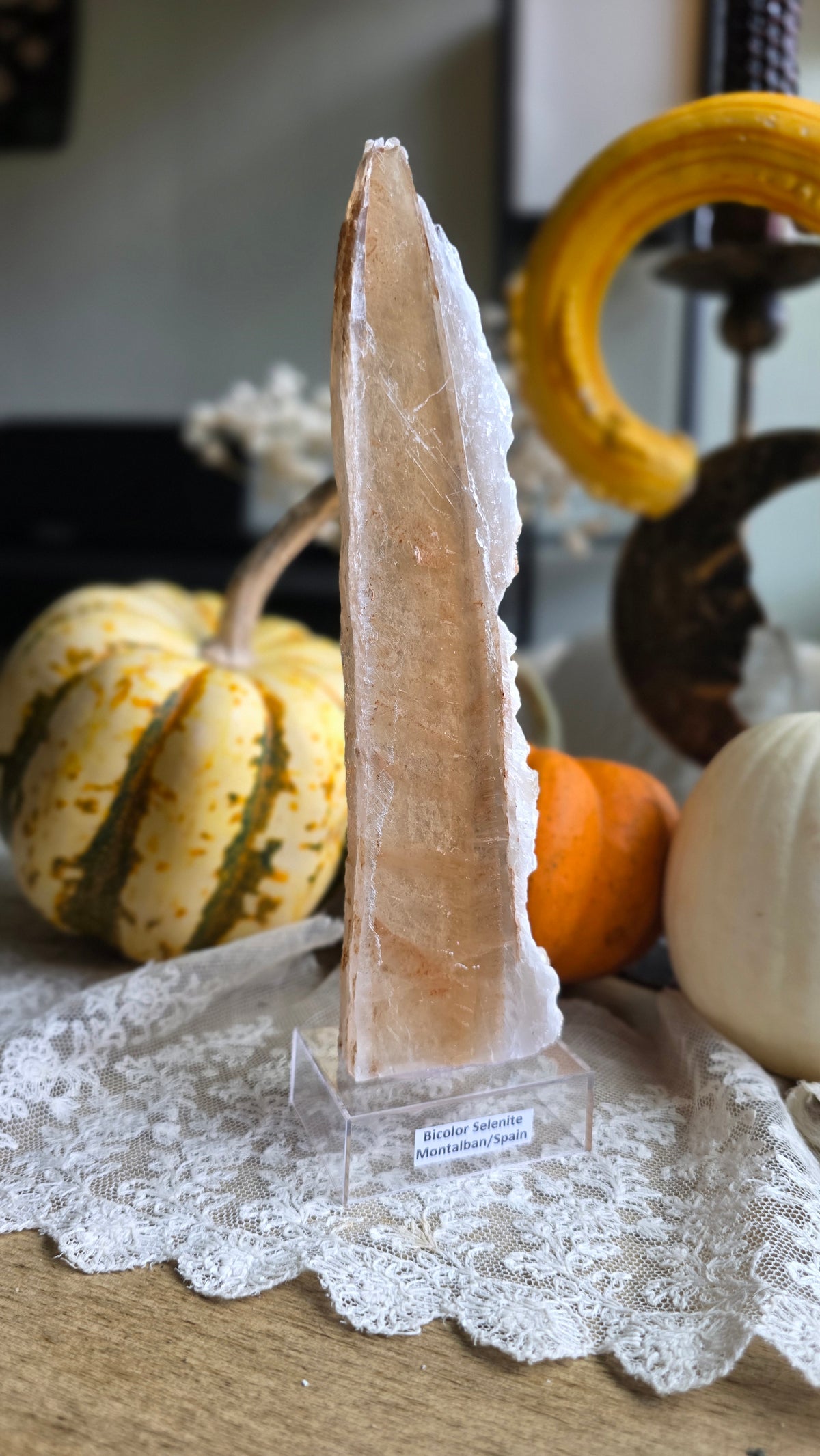 Bicolor Selenite on Stand