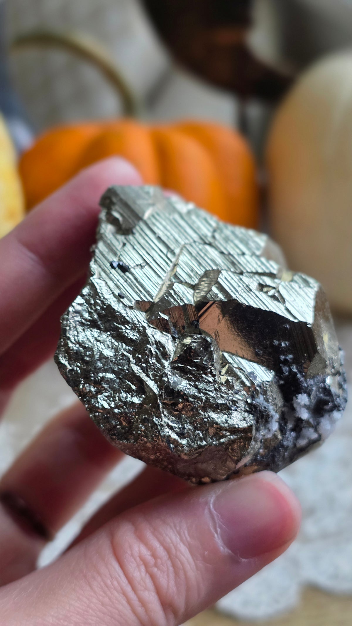 Pyrite Specimen 6