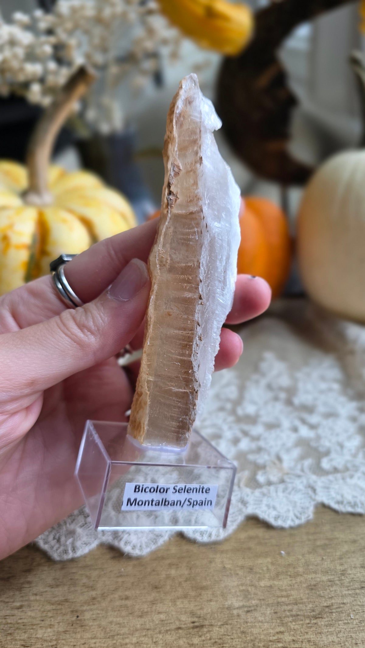 Bicolor Selenite on Stand