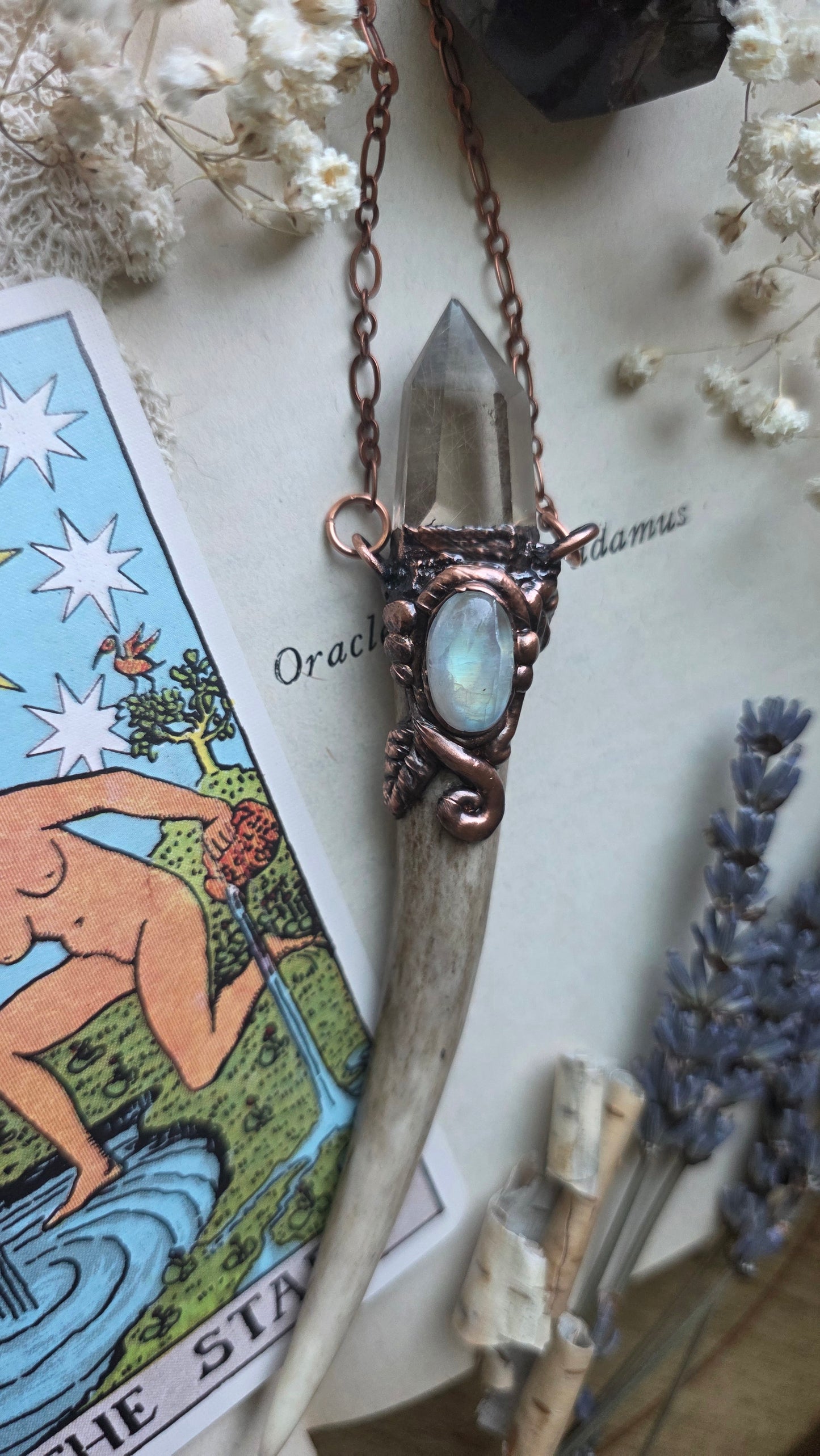Valor: Natural Antler Shed Tip with Moonstone and Rutilated Quartz