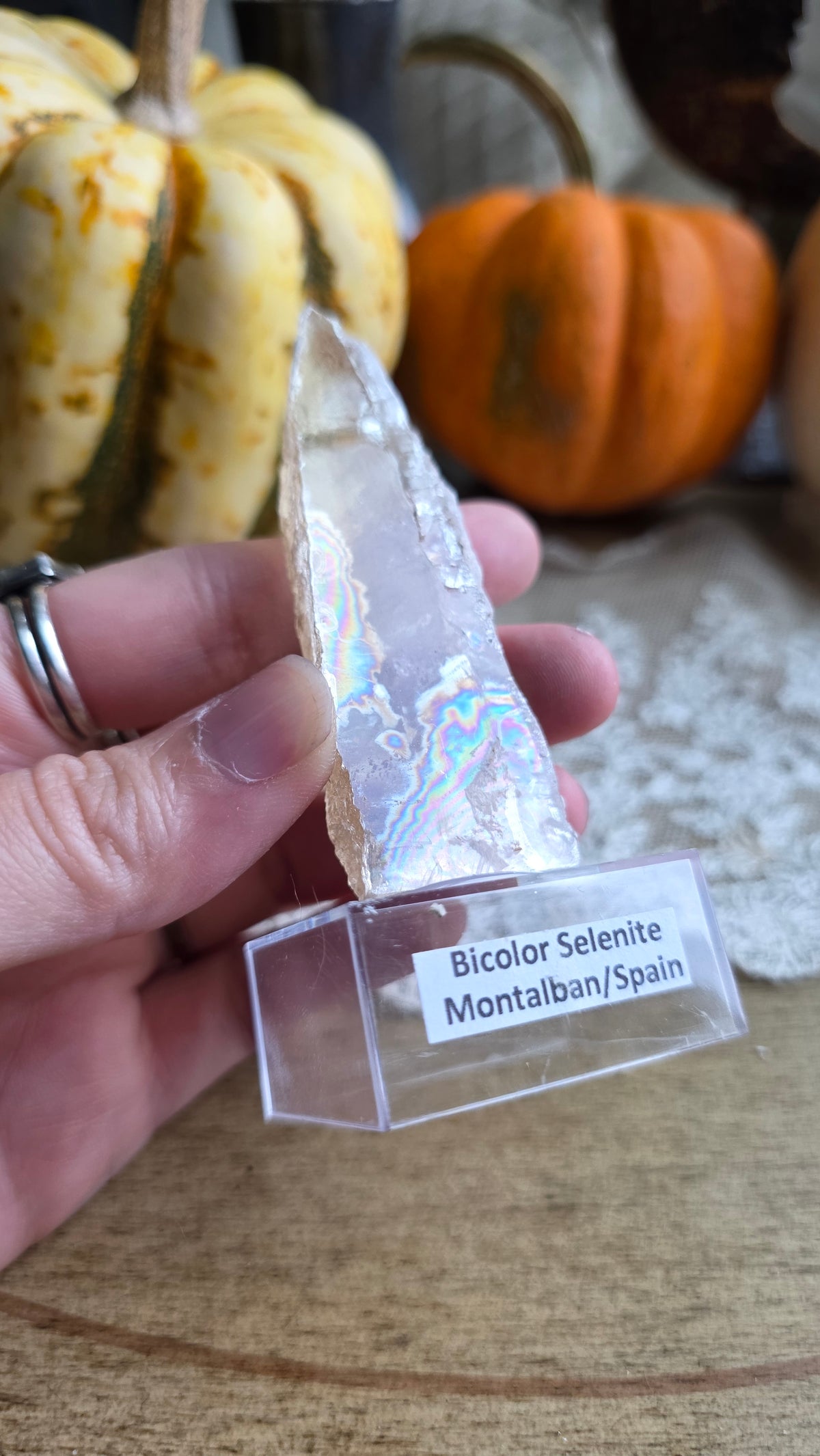 Bicolor Selenite on stand
