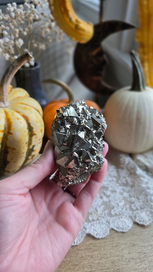 Pyrite Specimen 10