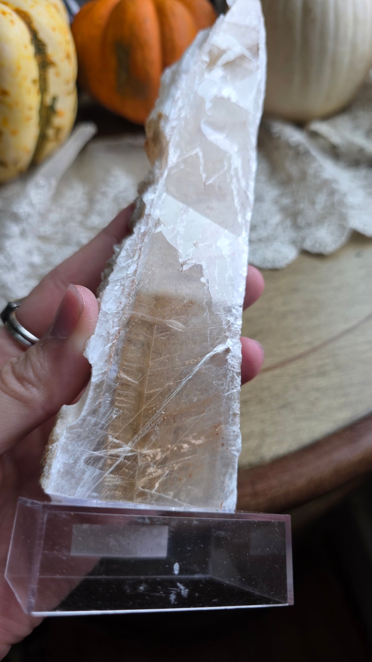 Bicolor Selenite on Stand